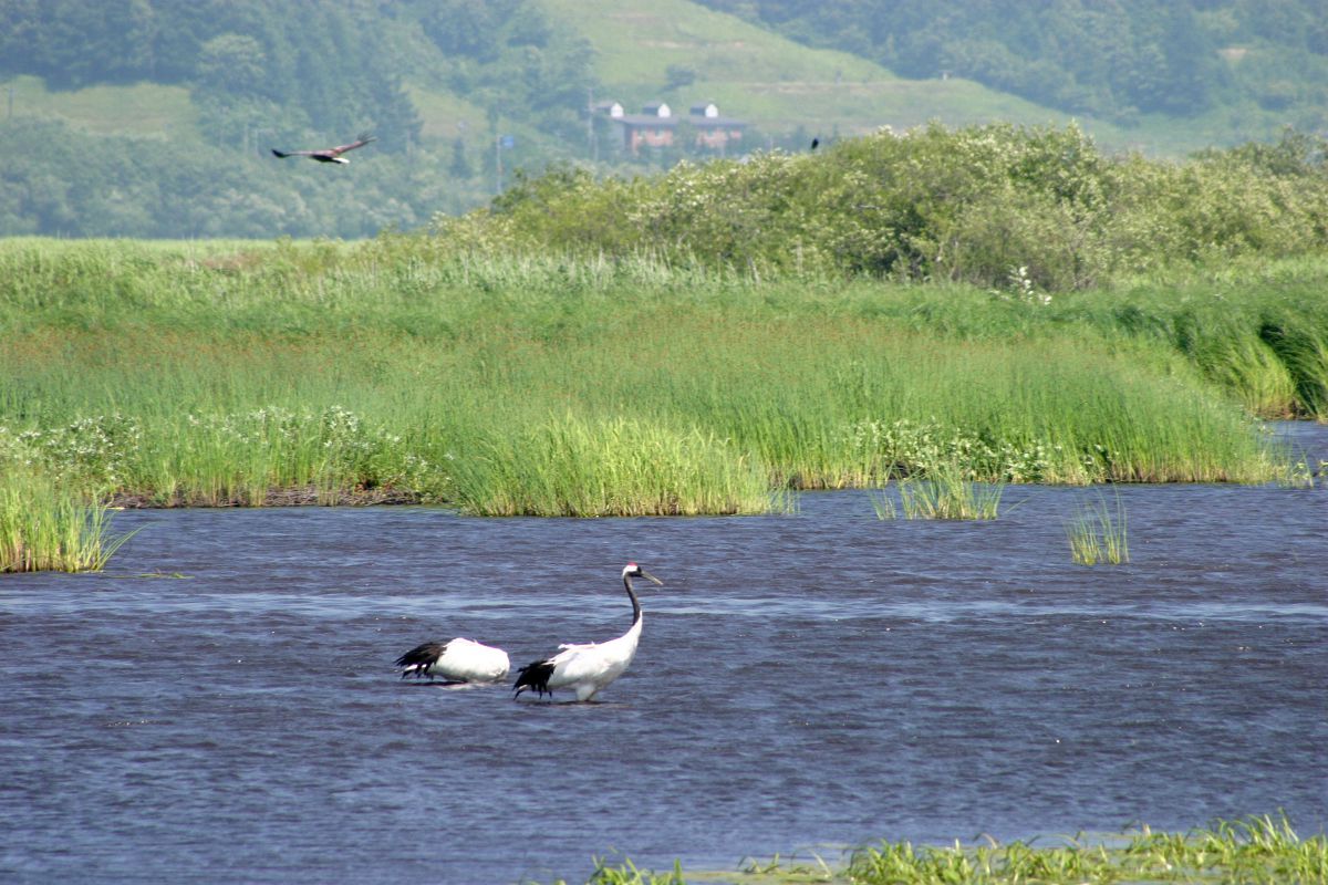 シラルトロ湖（北海道）