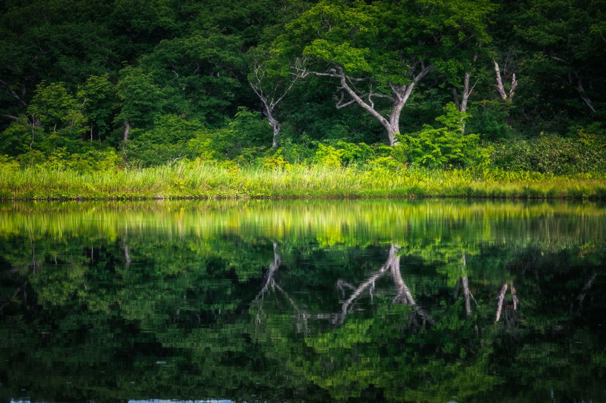 鏡沼