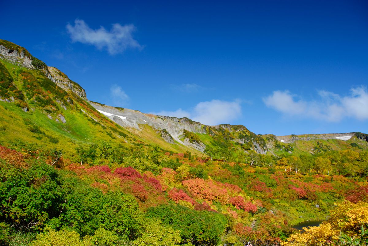 高根ヶ原（北海道）