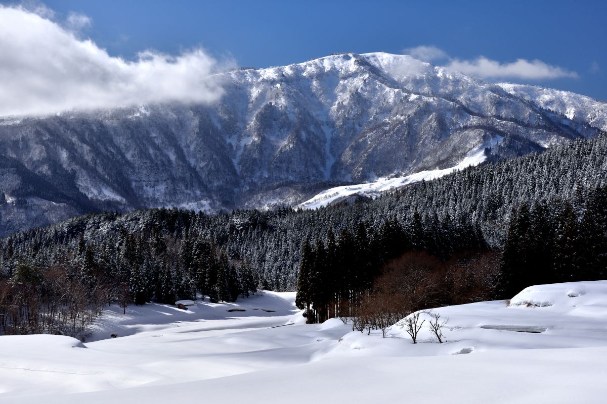 氷ノ山