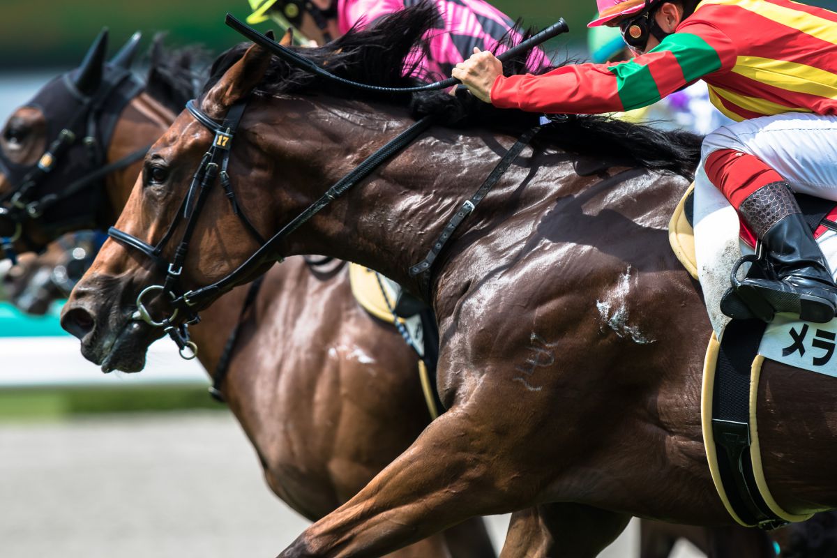 阪神競馬場（兵庫県）