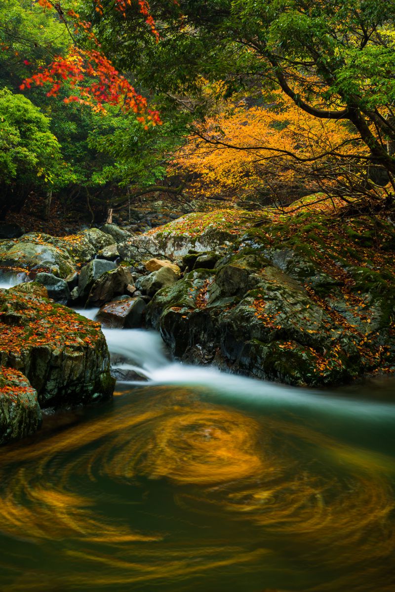 赤西渓谷（兵庫県）