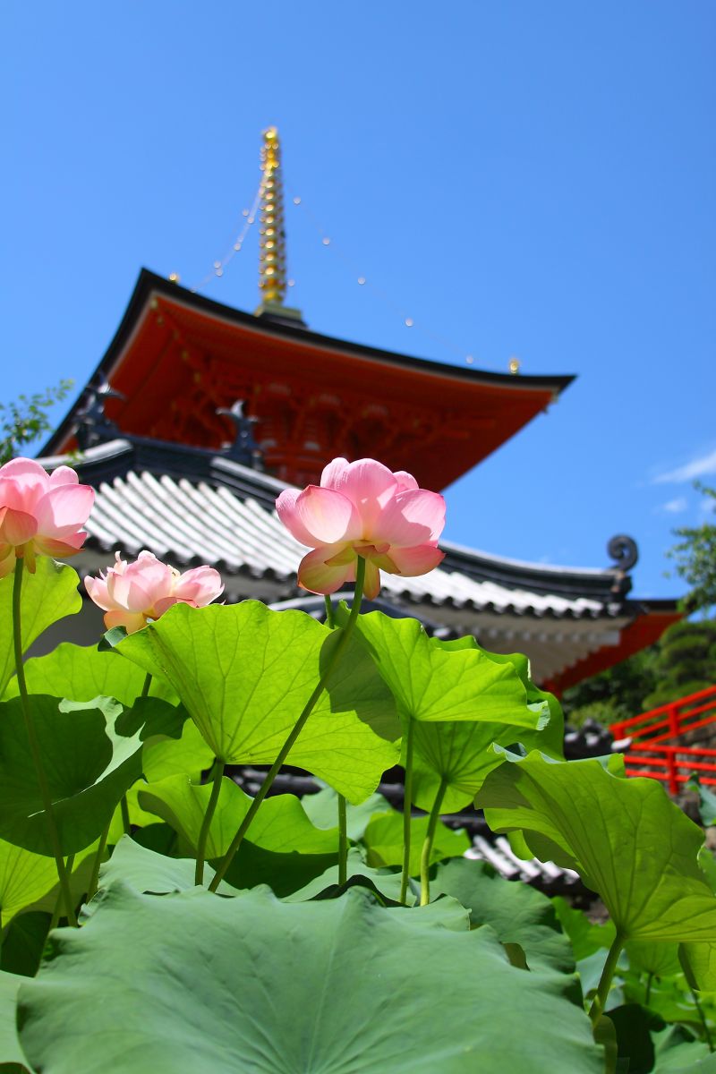 中山寺（兵庫県）