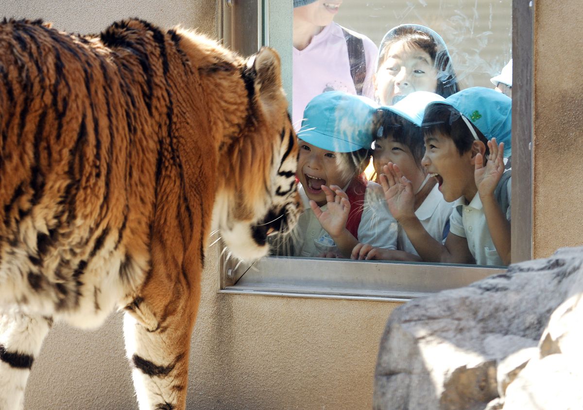 神戸市立王子動物園