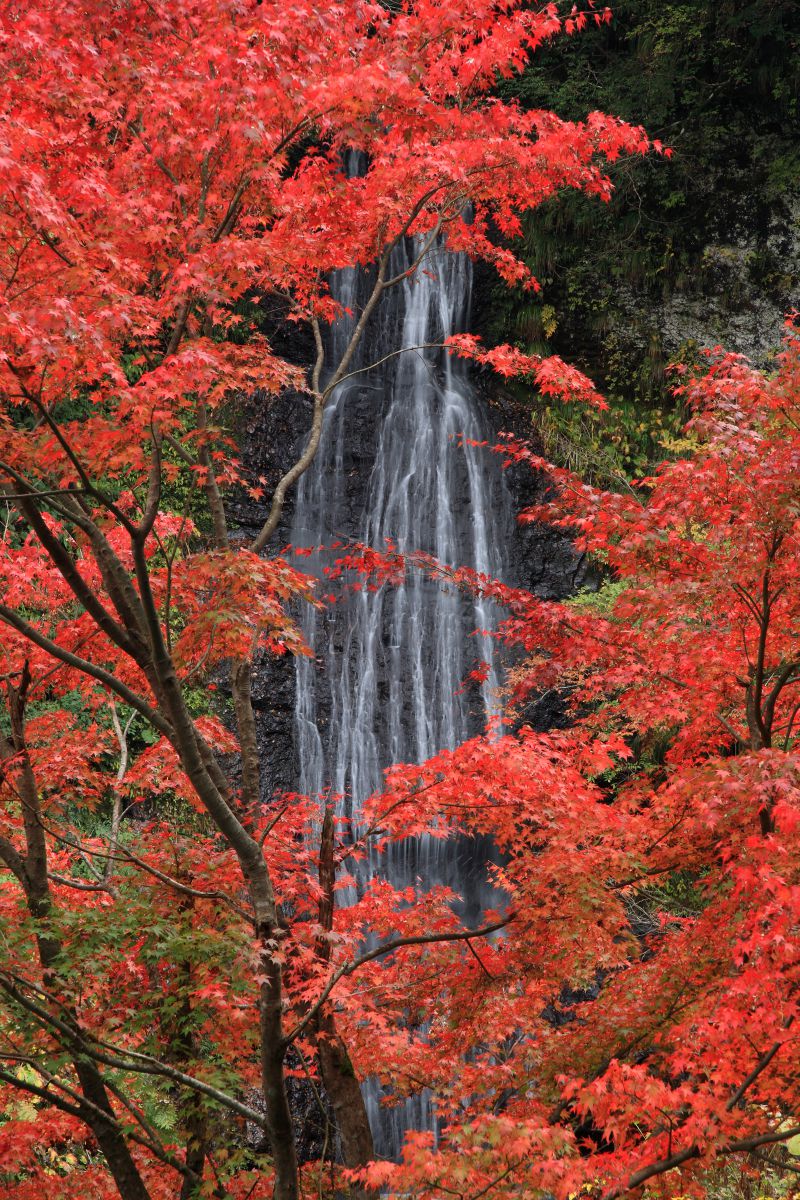 阿瀬渓谷（兵庫県）