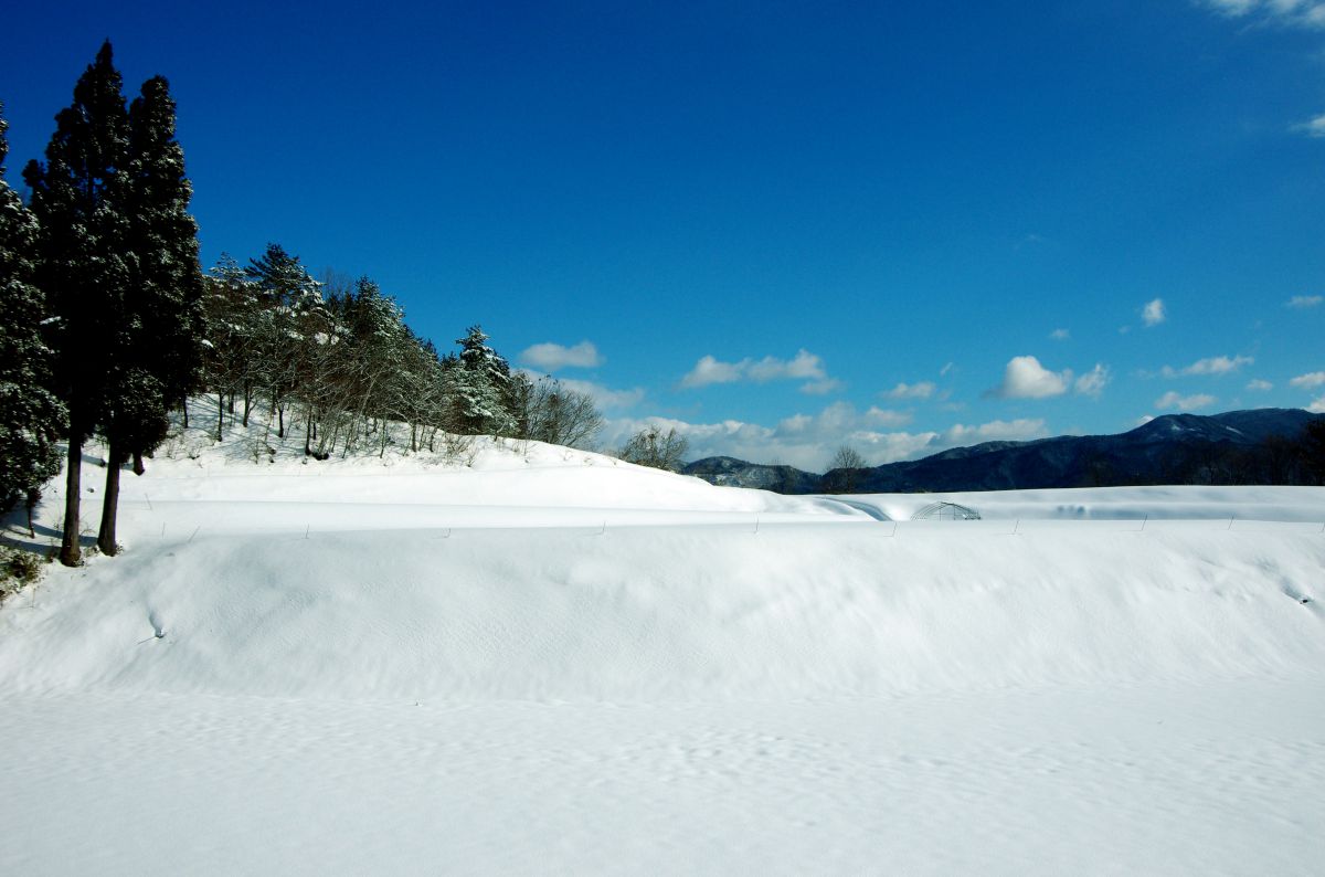 兎和野高原（兵庫県）