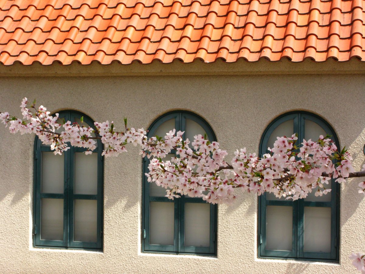 宝塚　花のみち（兵庫県）