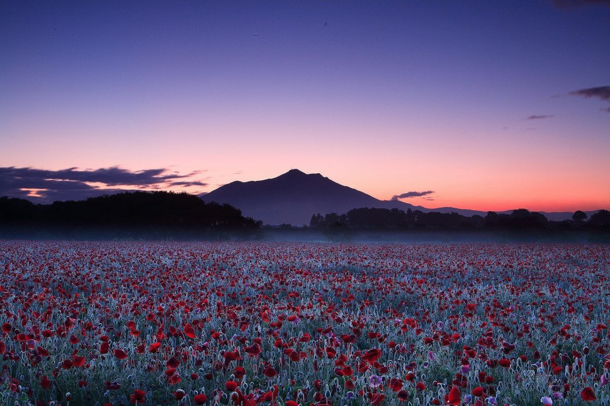 筑波山（茨城県）