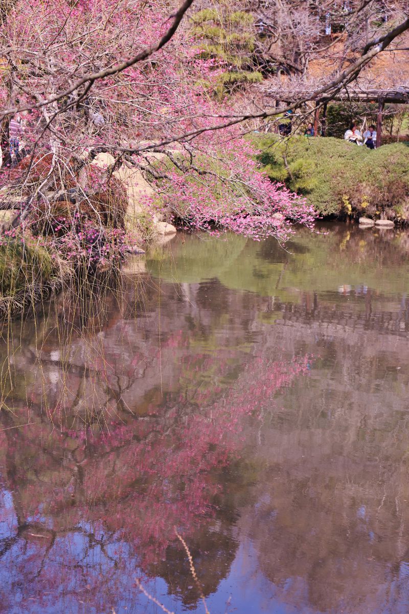 偕楽園（茨城県）