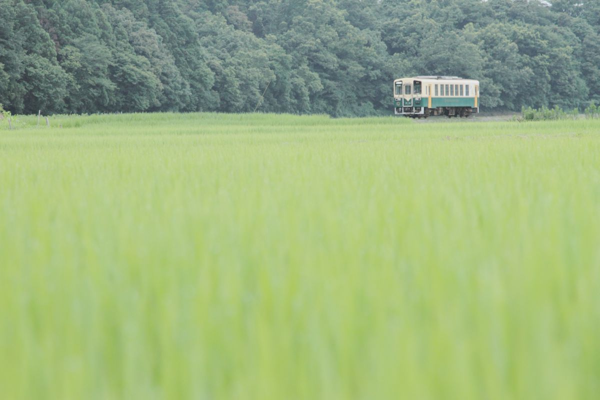 ひたちなか海浜鉄道（茨城県）