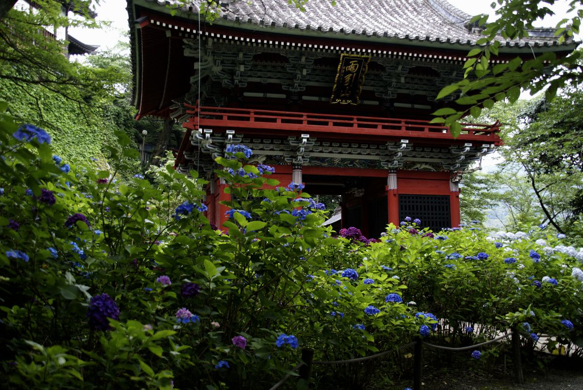 雨引観音（茨城県）