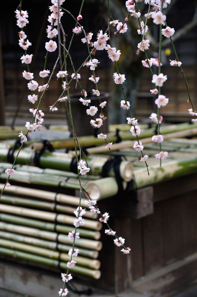 弘道館（茨城県）