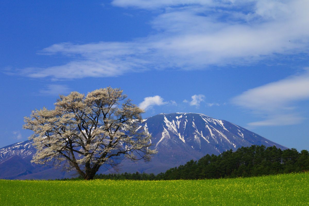 小岩井農場（岩手県）