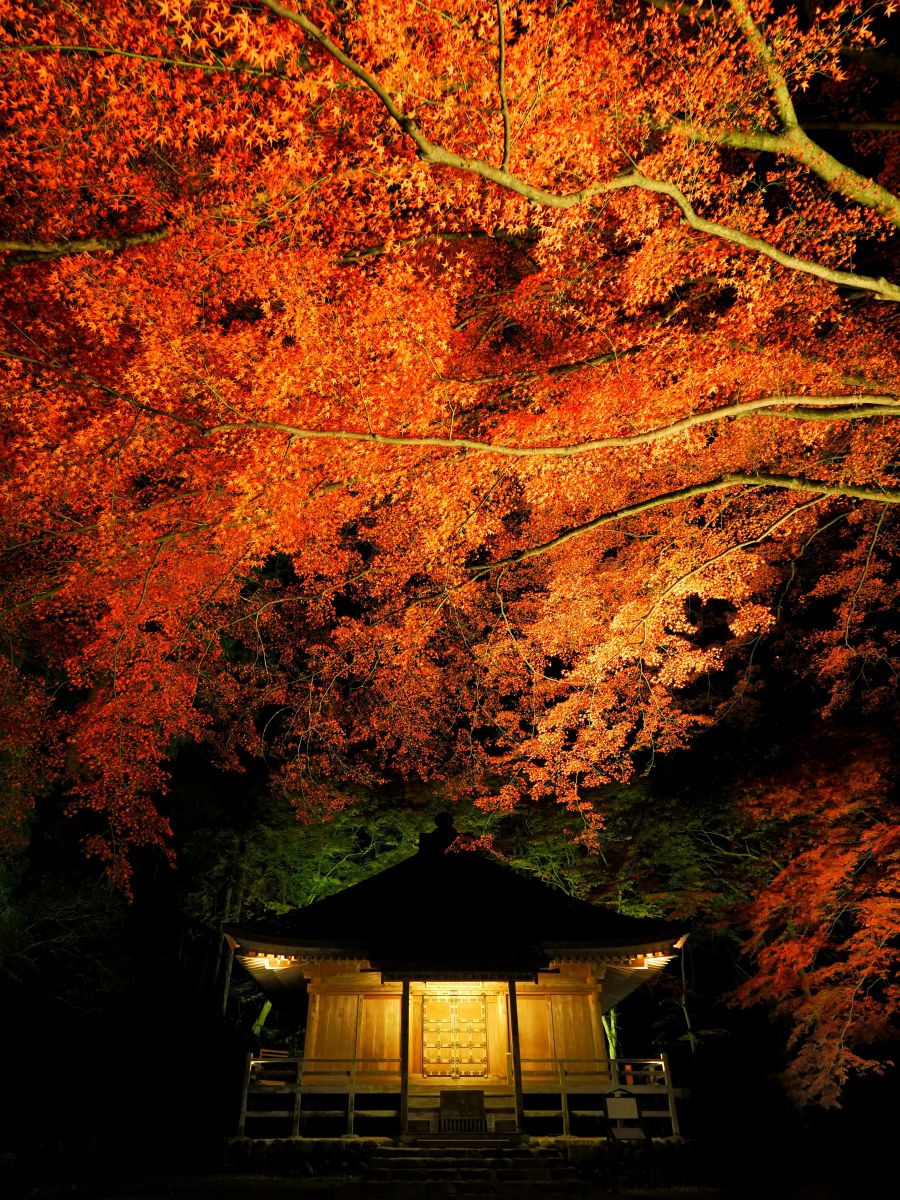 中尊寺（岩手県）