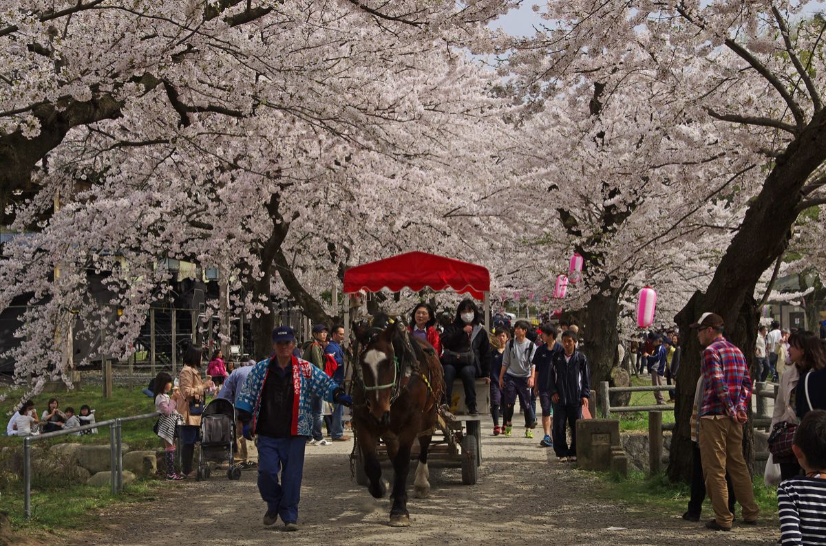 北上展勝地