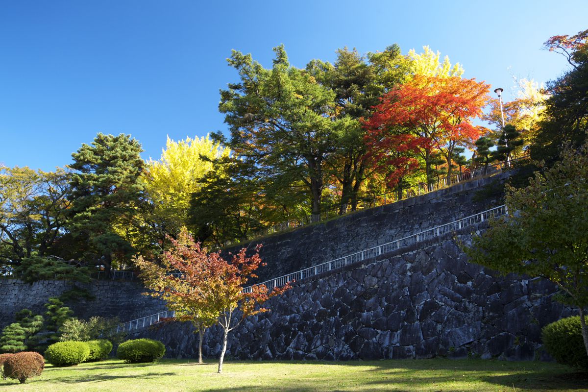 岩手公園（岩手県）