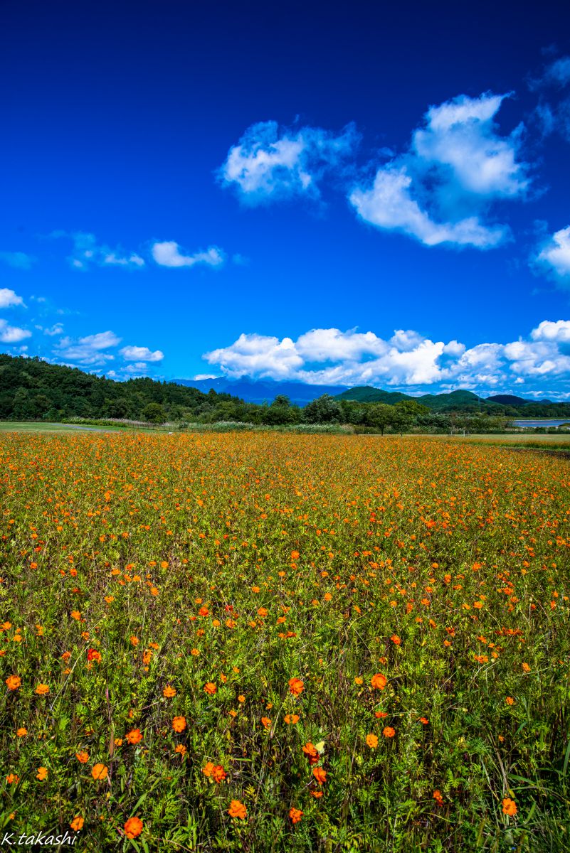 御所湖（岩手県）