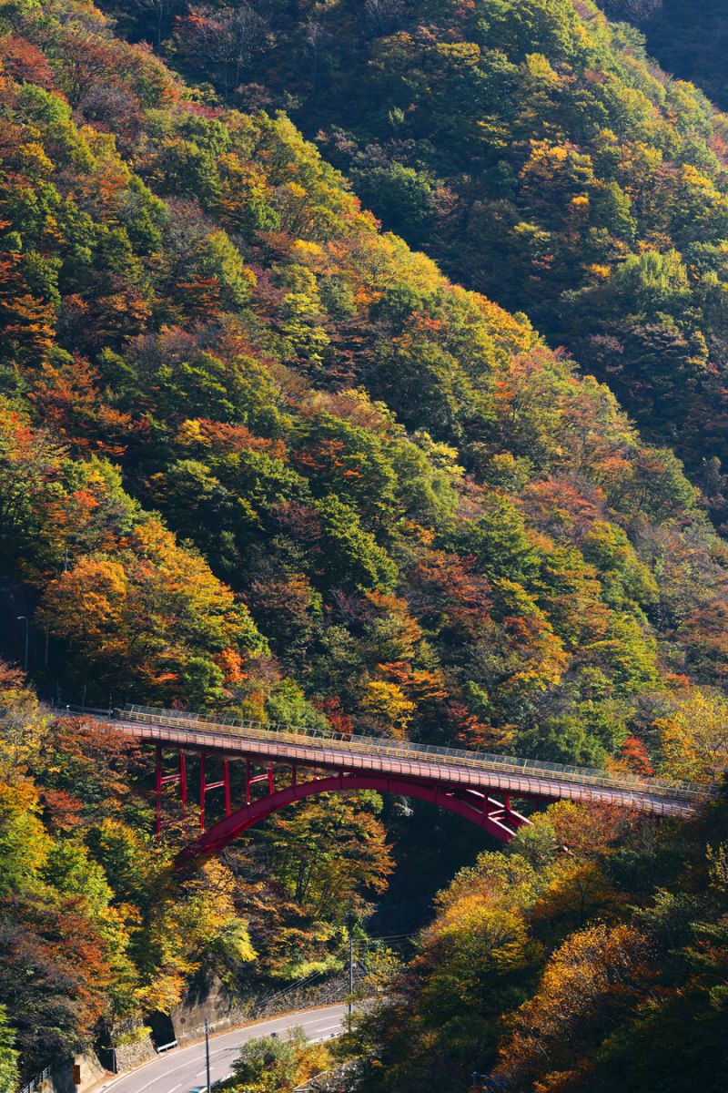 仙人峠（岩手県）