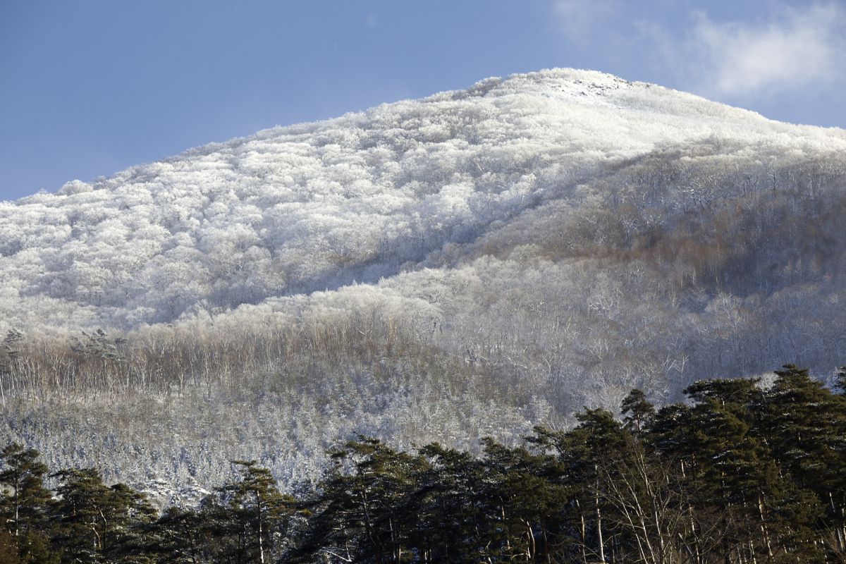 姫神山（岩手県）