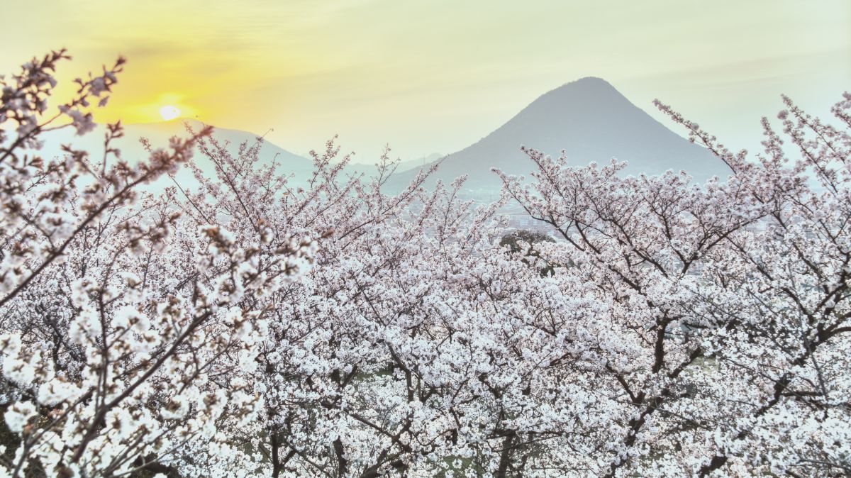 丸亀城（香川県）