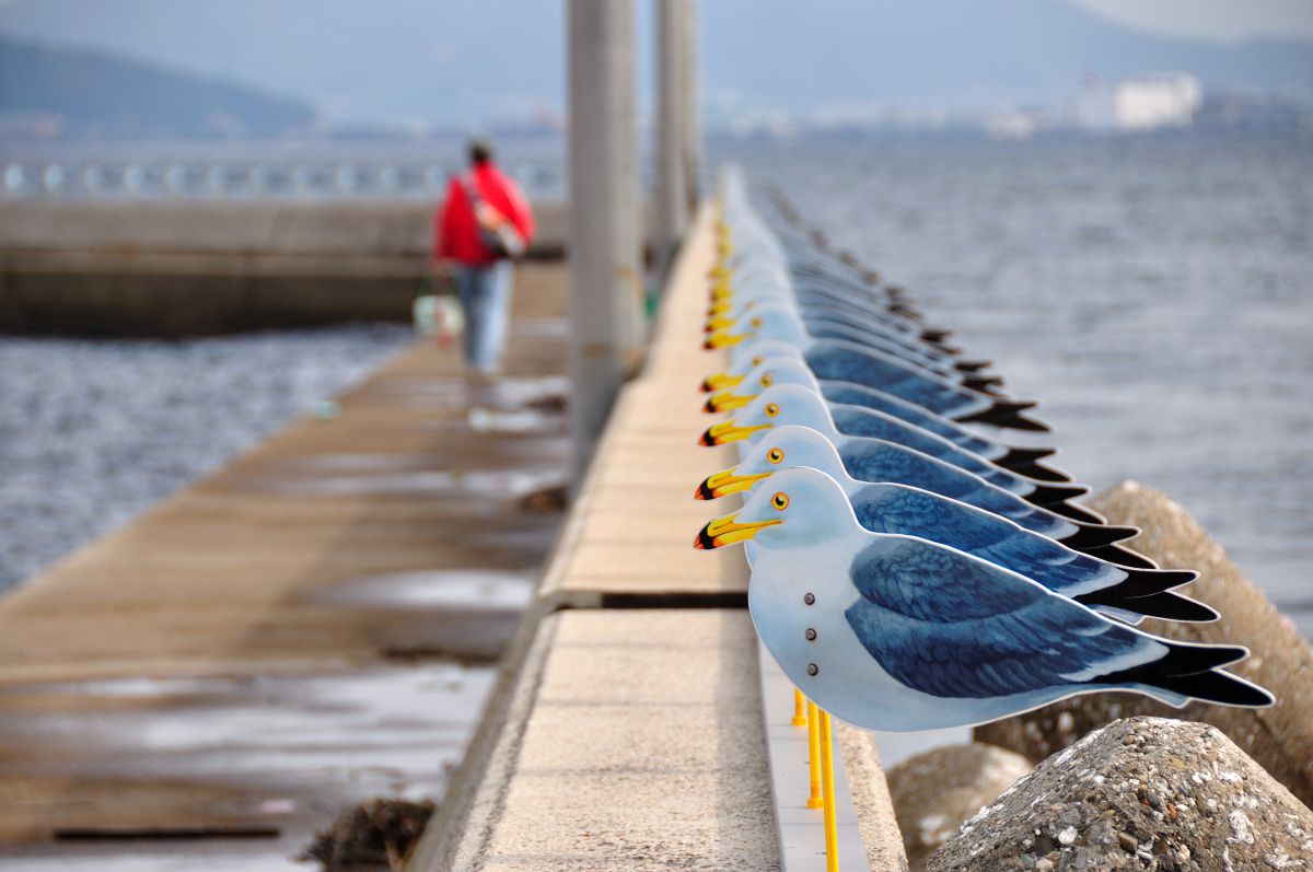 女木島（香川県）