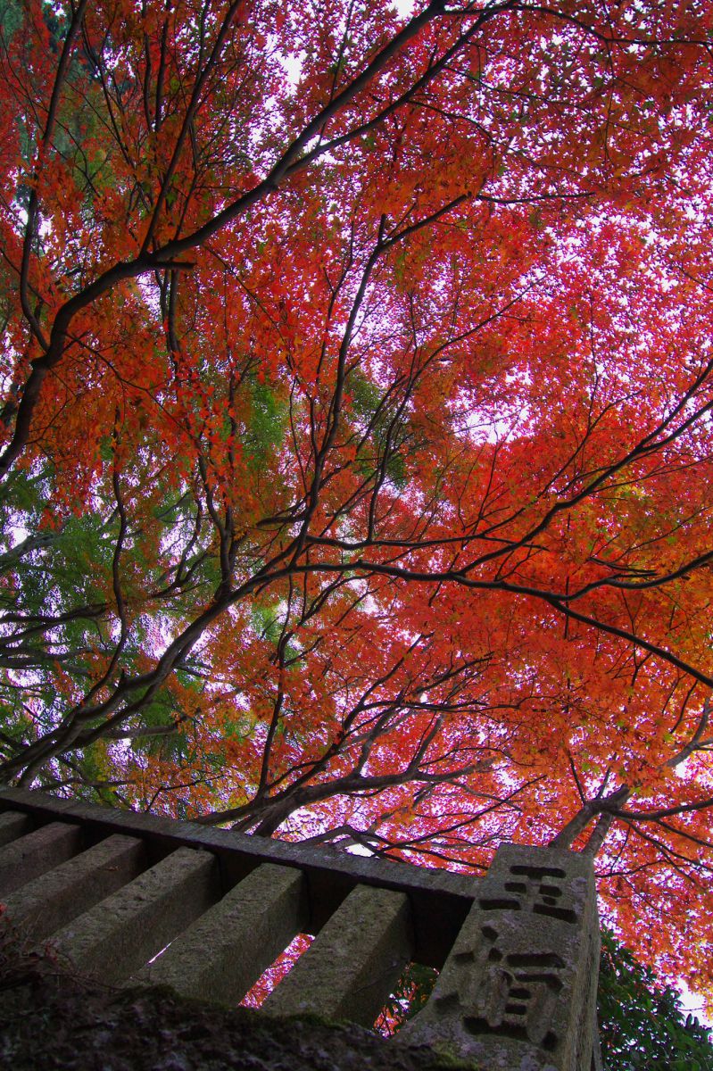 根香寺（香川県）