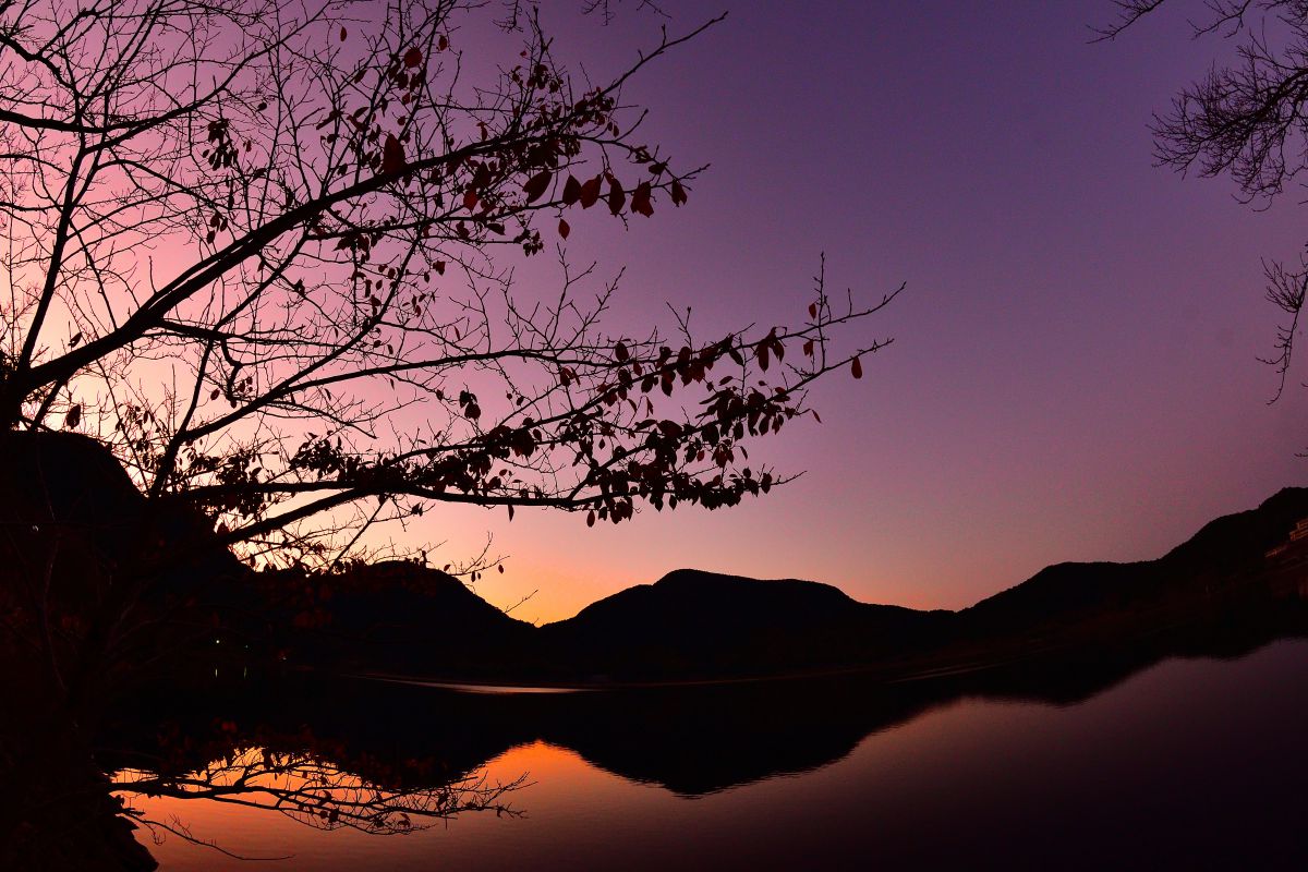 藺牟田池（鹿児島県）