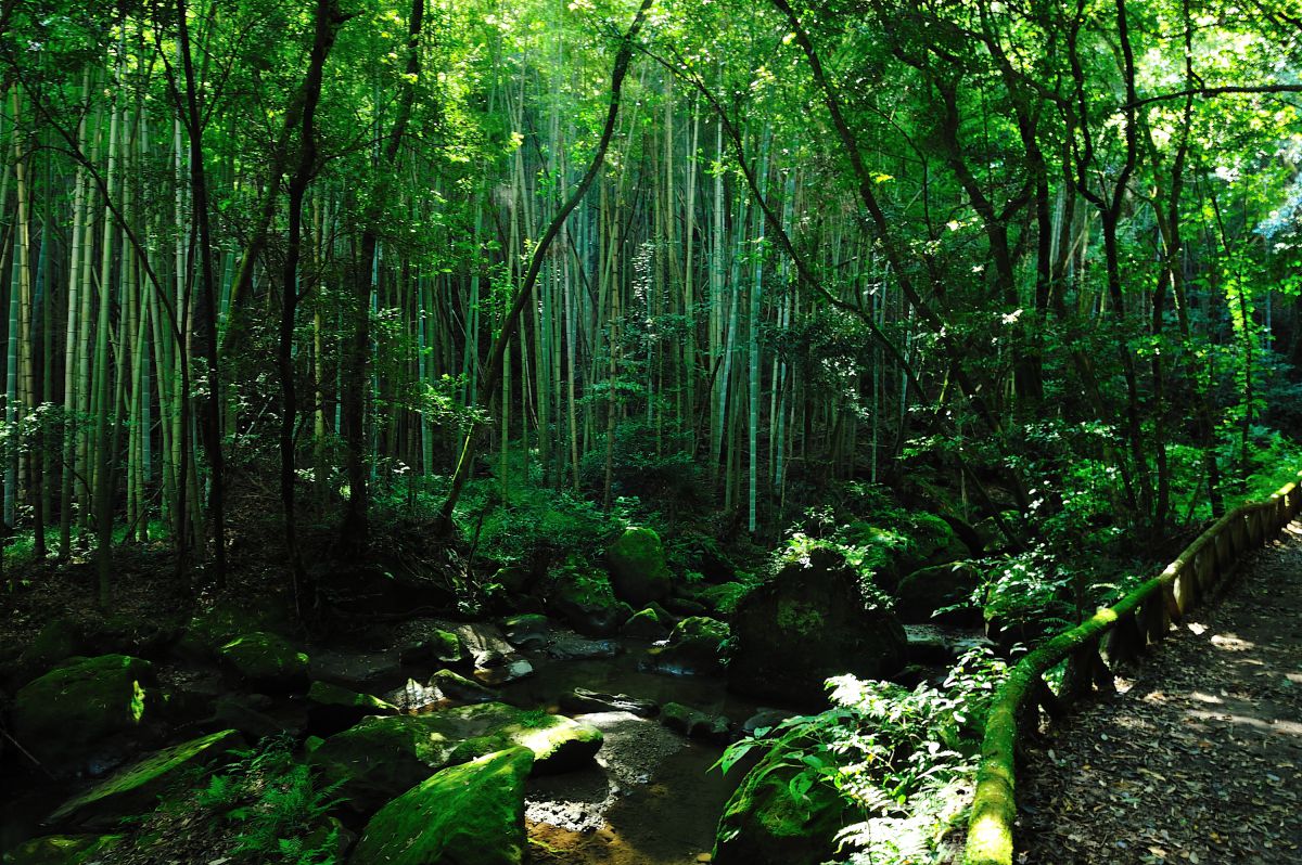 慈眼寺公園（鹿児島県）