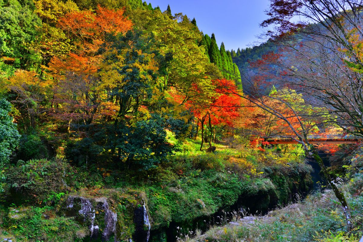 新川渓谷（鹿児島県）