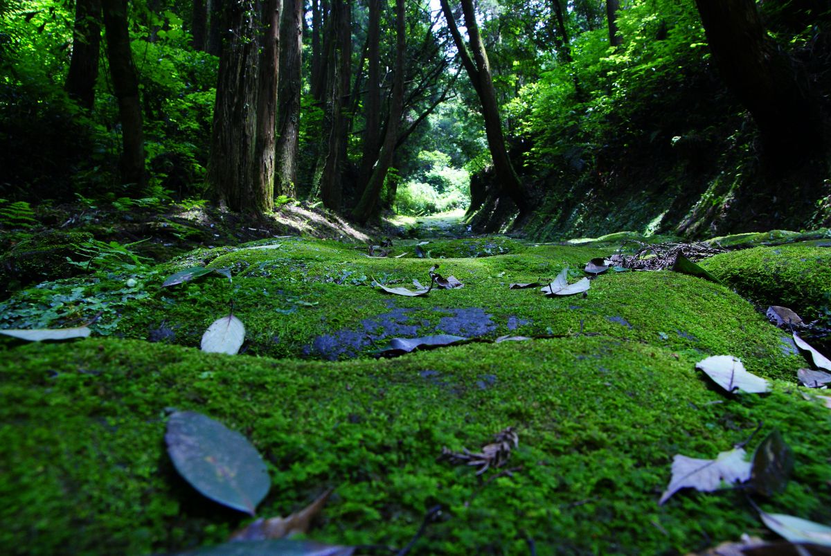 龍門司坂（鹿児島県）