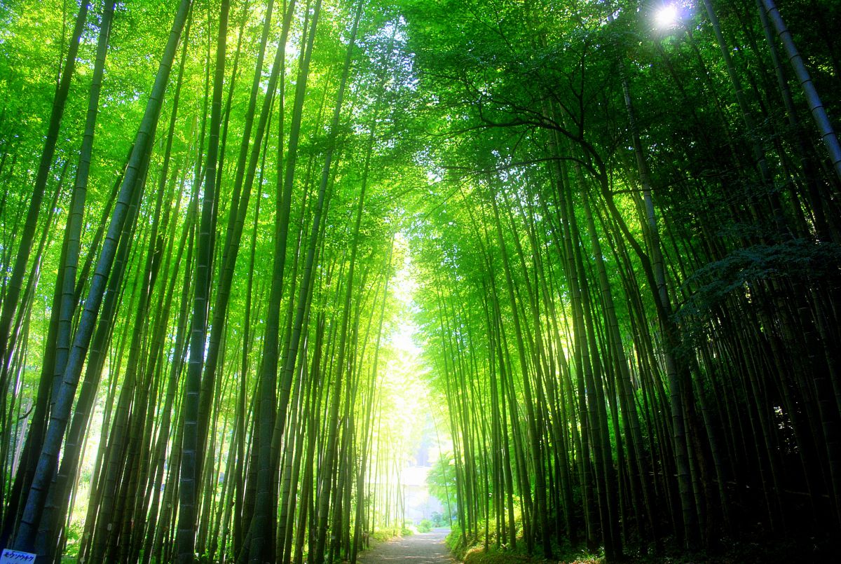 児玉美術館（鹿児島県）