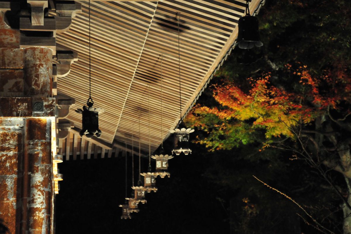 鎌倉 長谷寺（神奈川県）