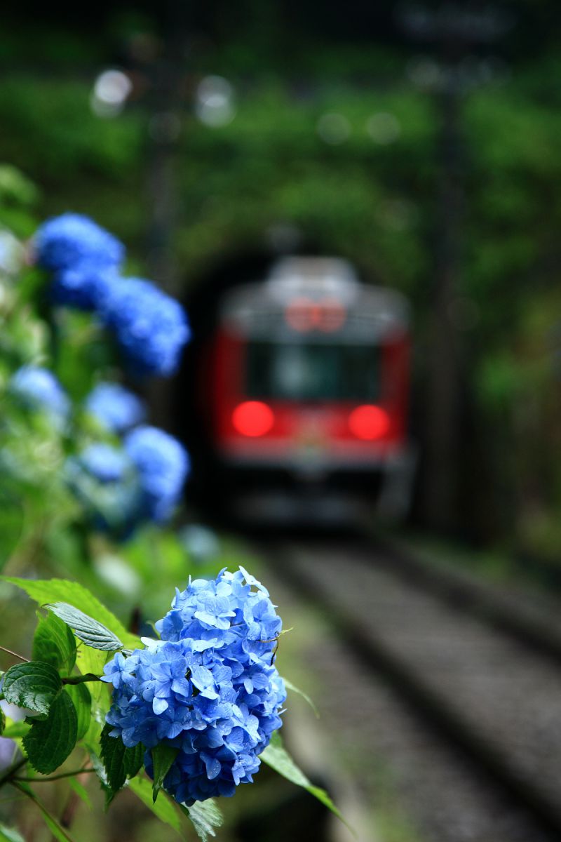 箱根登山鉄道（神奈川県）