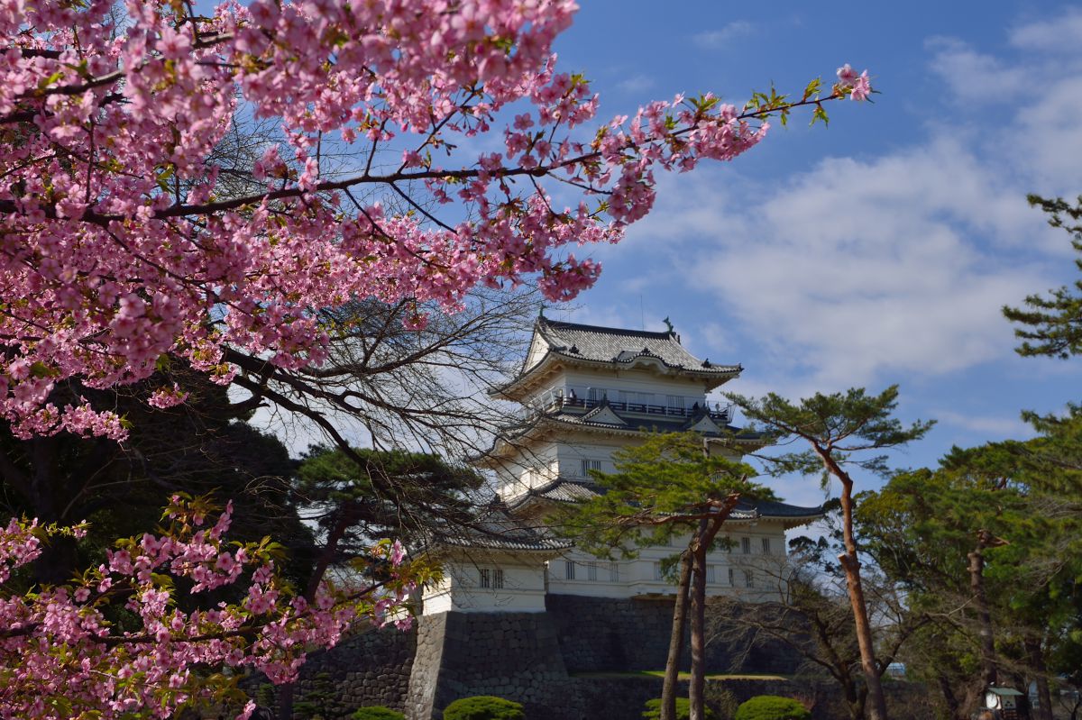 小田原城（神奈川県）