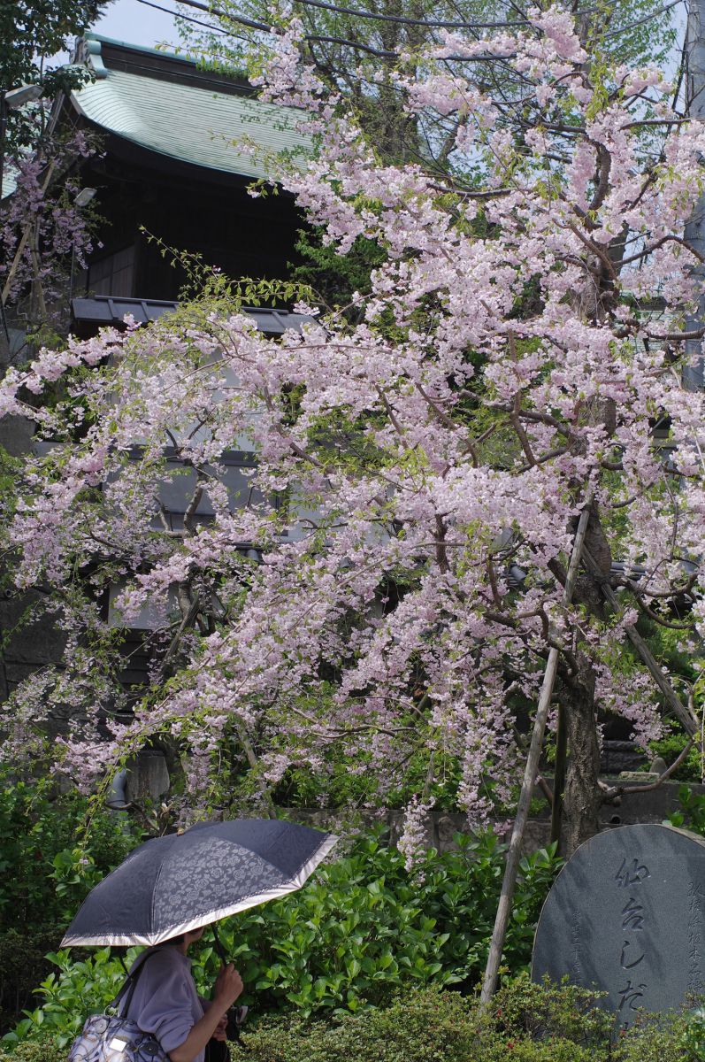 弘明寺（神奈川県）