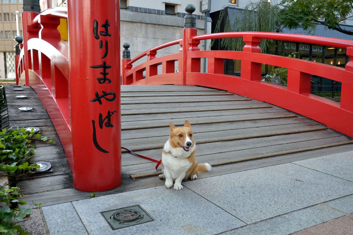 はりまや橋