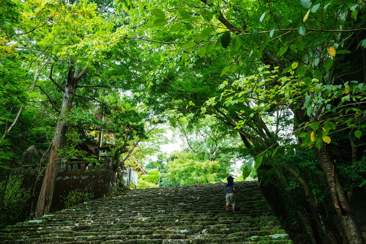 五台山（高知県）