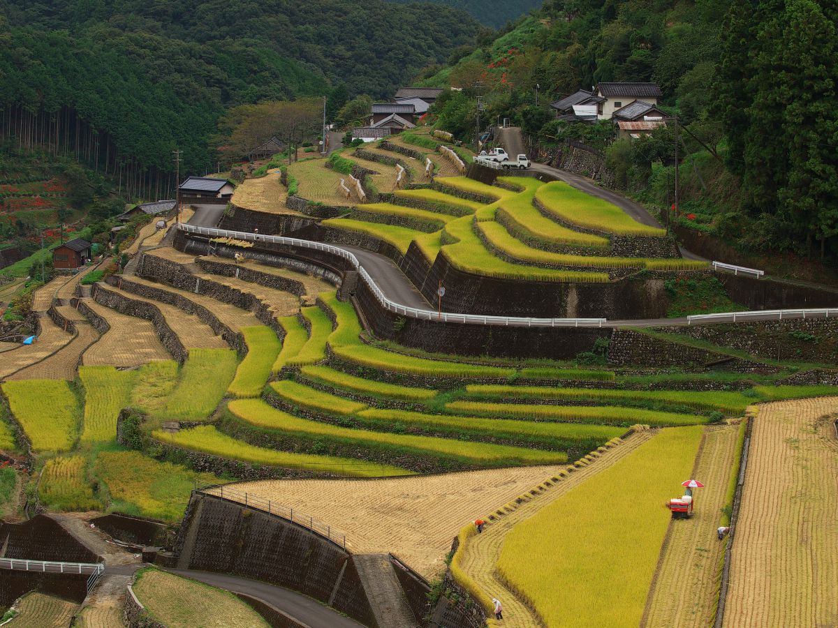 貝ノ川（高知県）