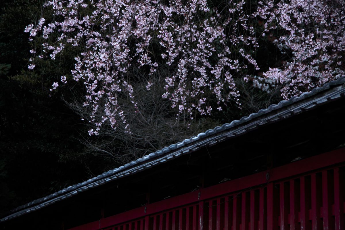 本妙寺（熊本県）