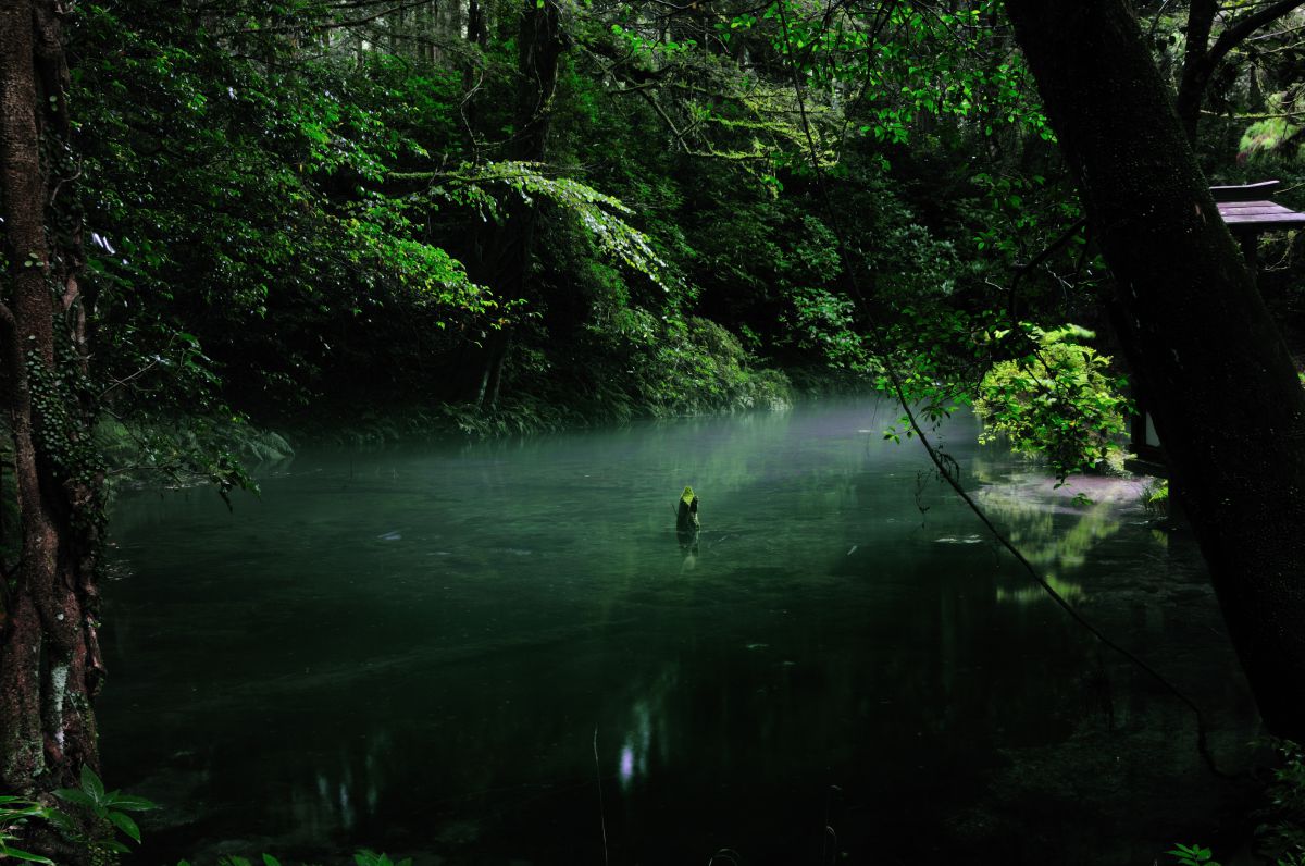 池山水源（熊本県）