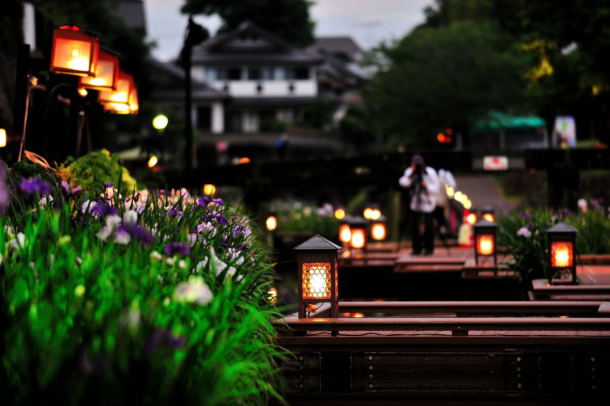 高瀬裏川（熊本県）