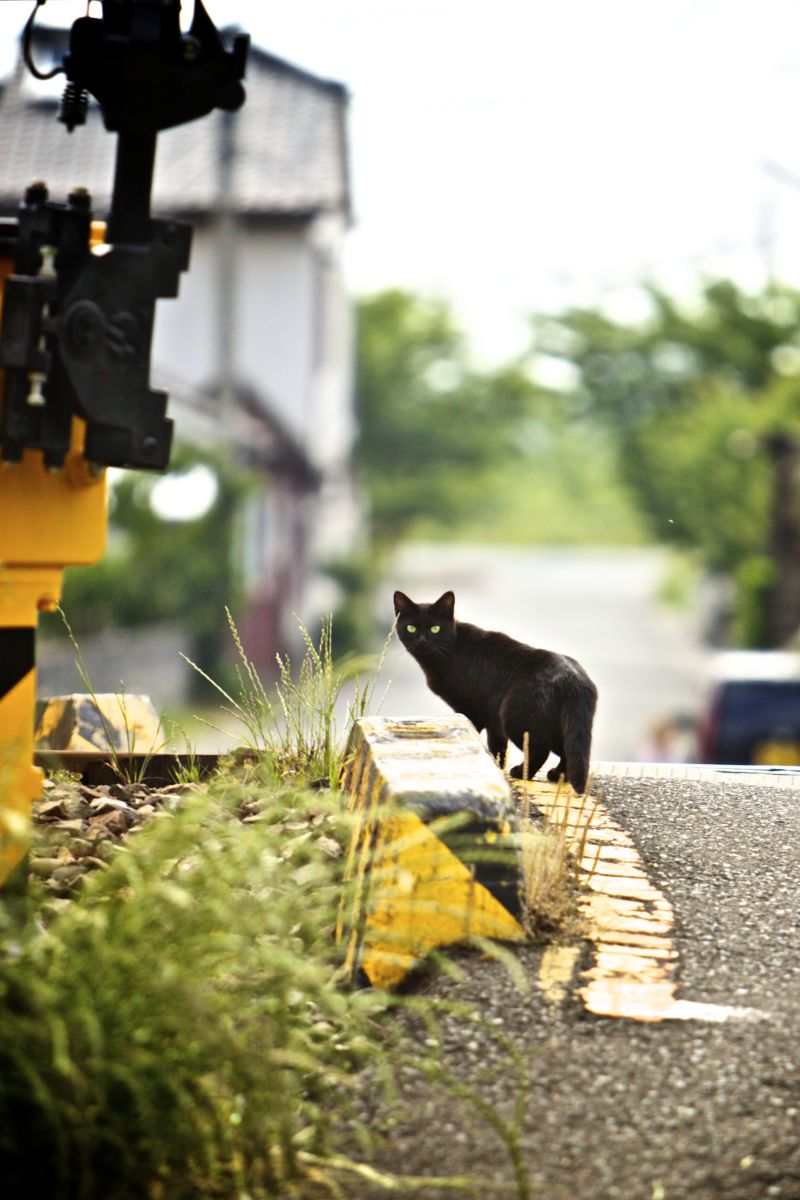 肥薩おれんじ鉄道（熊本県）