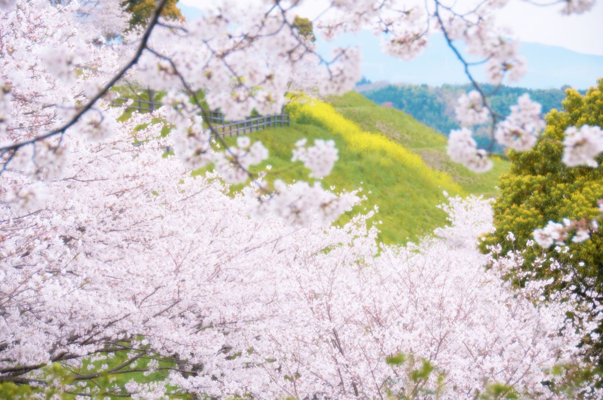 菊池公園