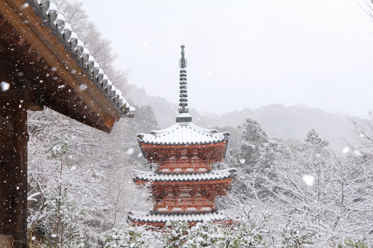 三室戸寺