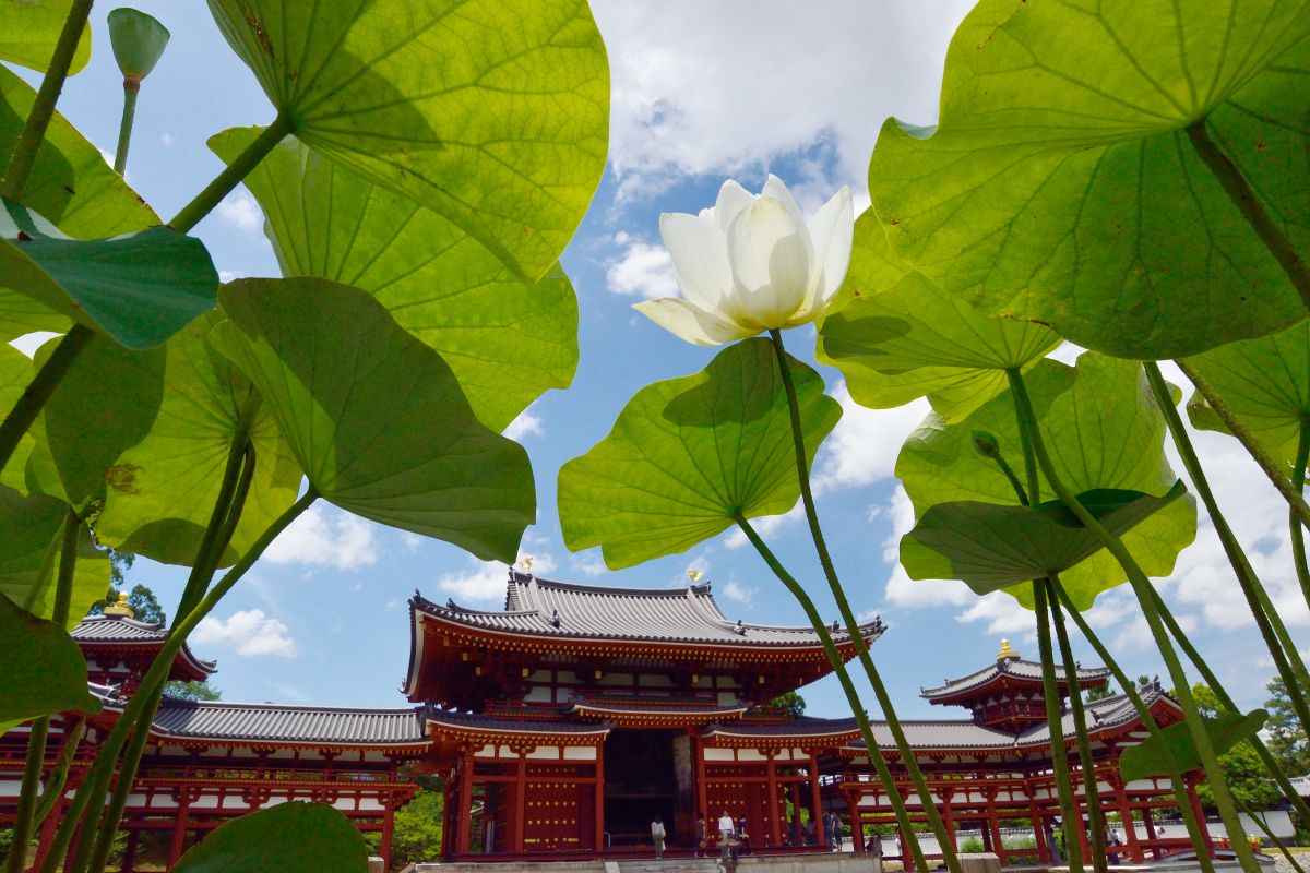 平等院（京都府）