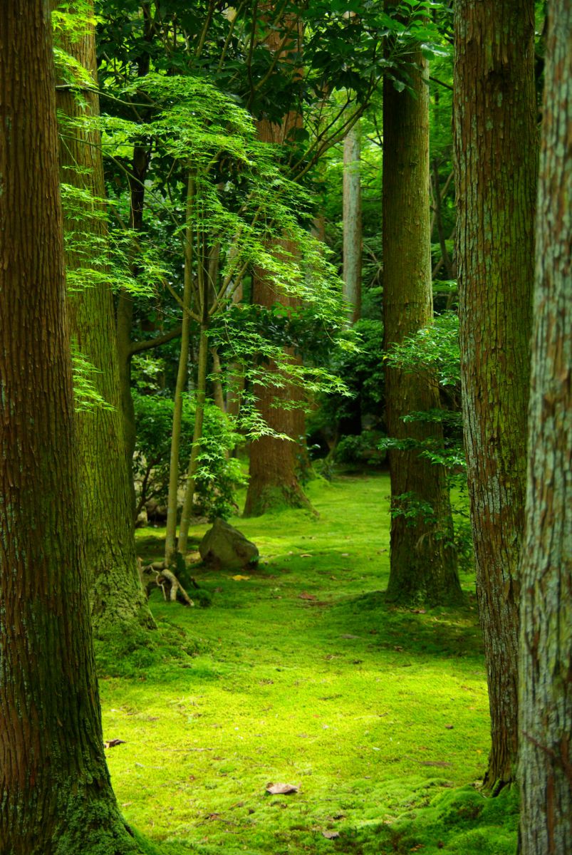 龍安寺