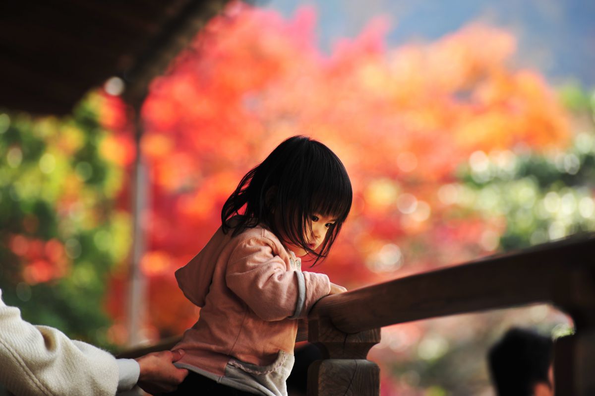 京都　天龍寺