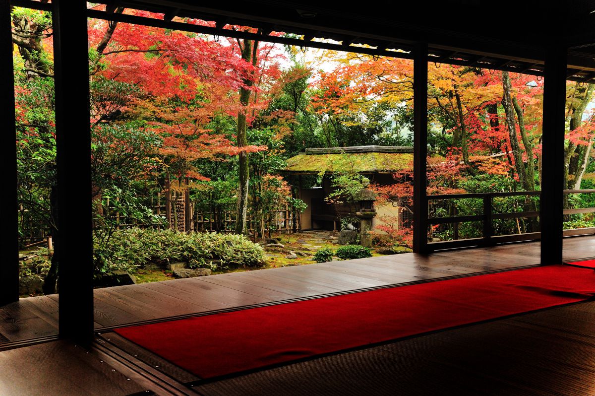 妙心寺（京都府）