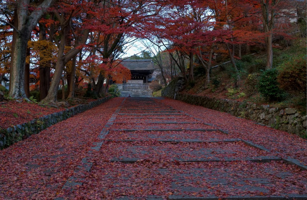 京都　毘沙門堂