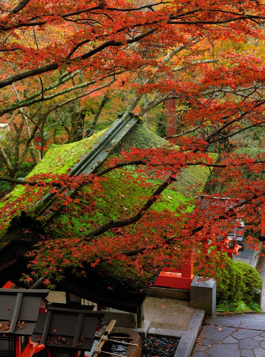 鞍馬寺（京都府）